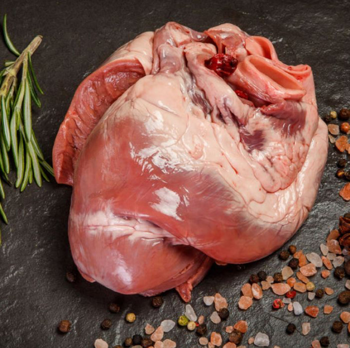Organs - Heart