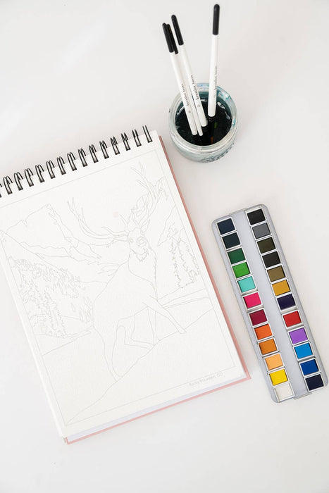 Bailey Rae Studio - National Parks Watercoloring Book-Outlines w/Video Tutorials
