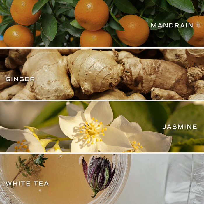 Sweet Water Decor - *NEW* White Tea and Jasmine 4.6 oz Bath Bomb