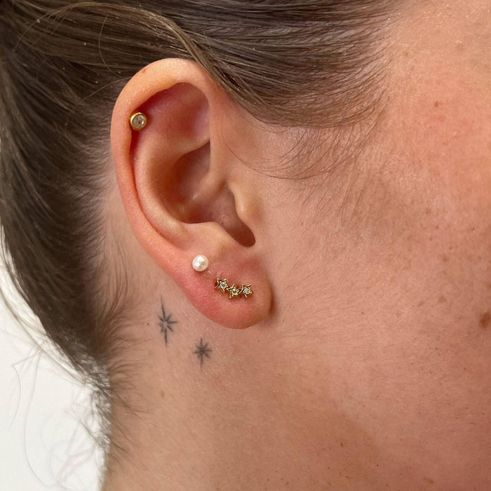 Nickel and Suede - Constellation Studs: One Size