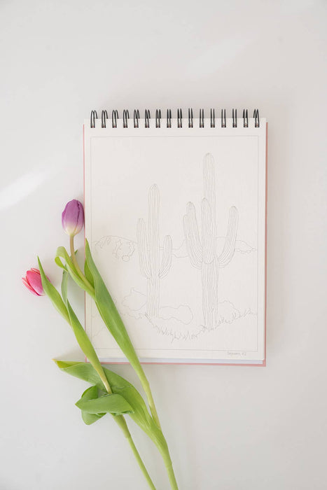 Bailey Rae Studio - National Parks Watercoloring Book-Outlines w/Video Tutorials
