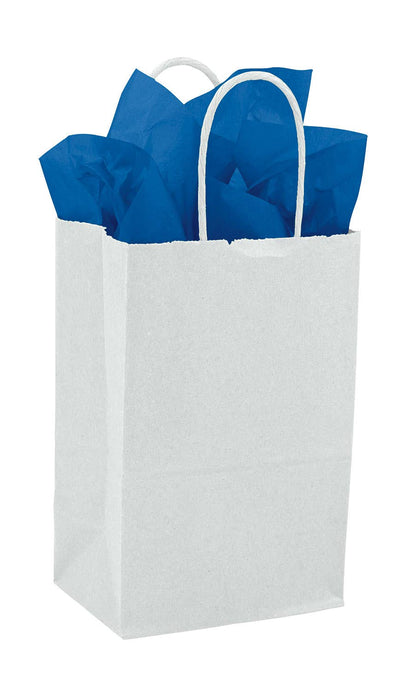 Store Supply Warehouse - Kraft Paper Shopping Bags: Natural / Case of 100 / Medium