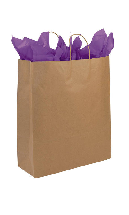 Store Supply Warehouse - Kraft Paper Shopping Bags: Natural / Case of 100 / Medium