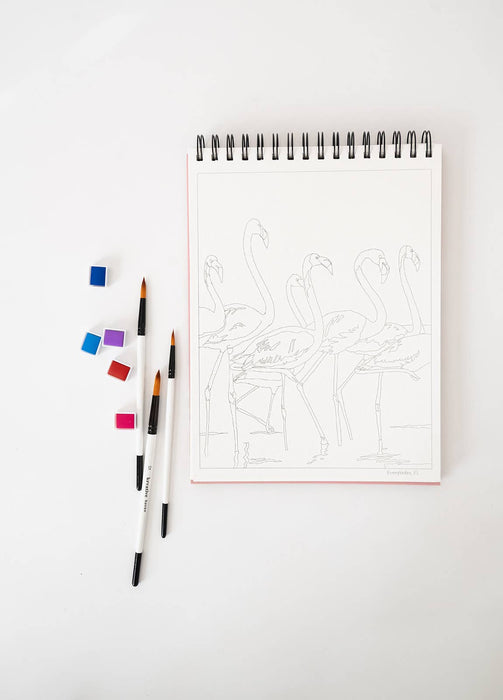 Bailey Rae Studio - National Parks Watercoloring Book-Outlines w/Video Tutorials