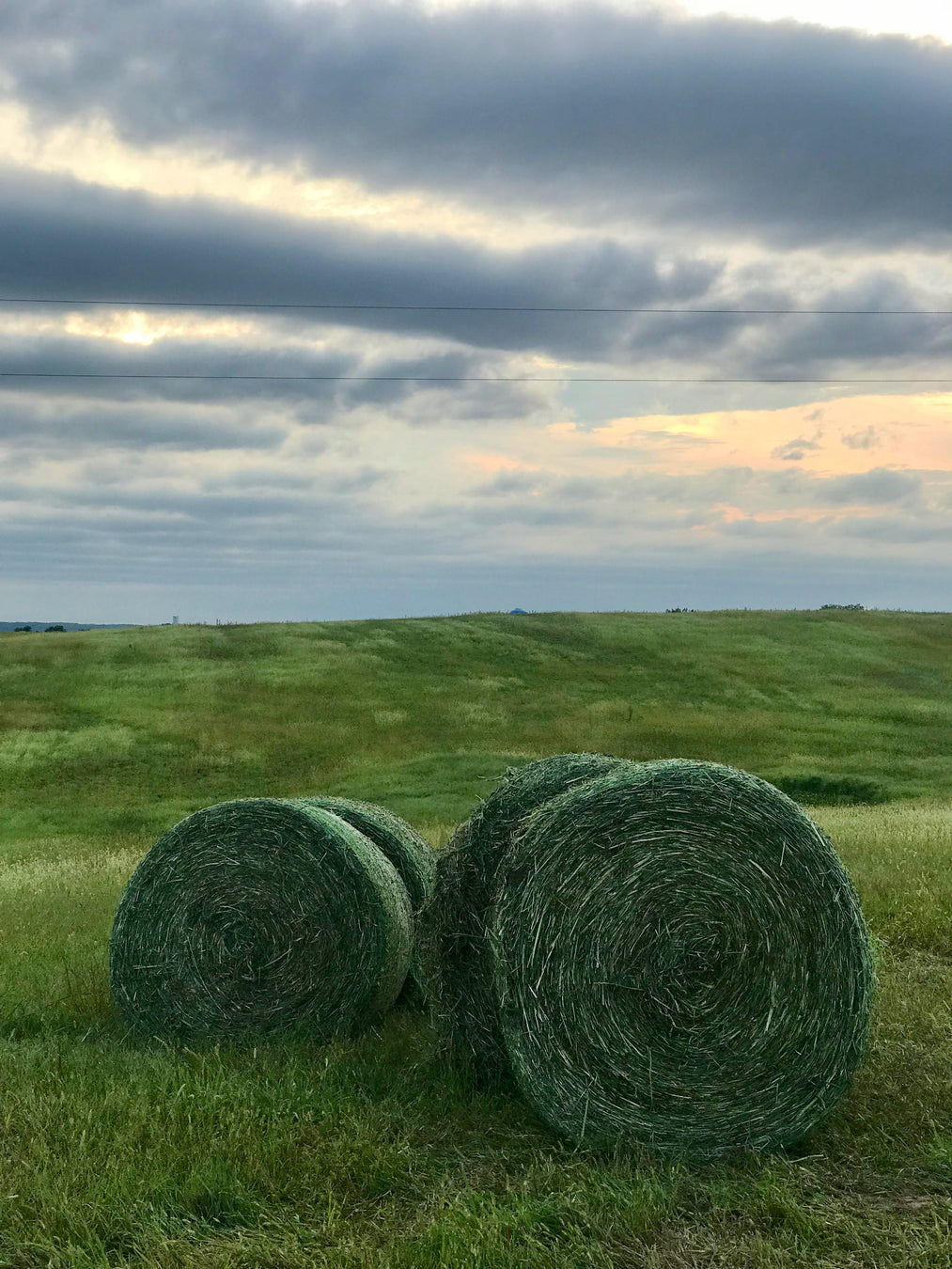 Green Grass Cattle Company + Mercantile