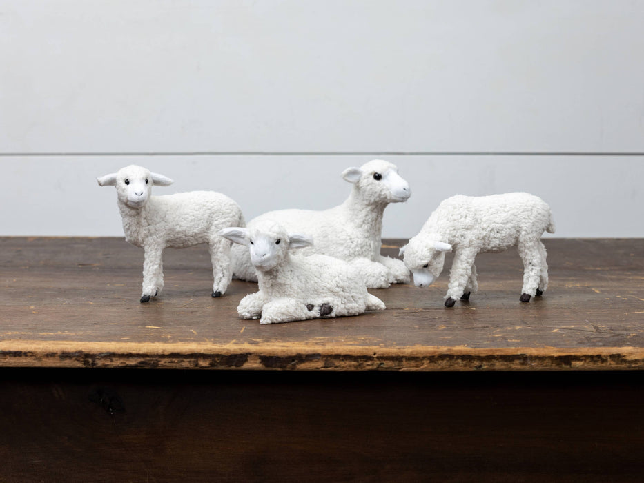 Ragon House - GRAZING SHEEP