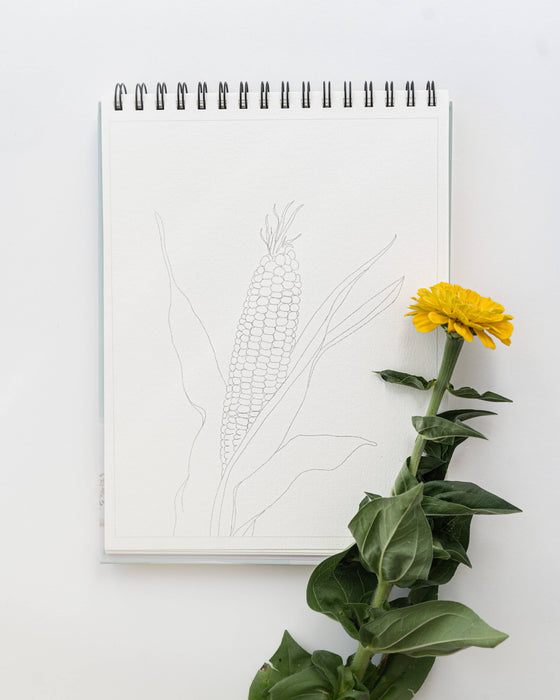 Bailey Rae Studio - Country Life Watercoloring Book