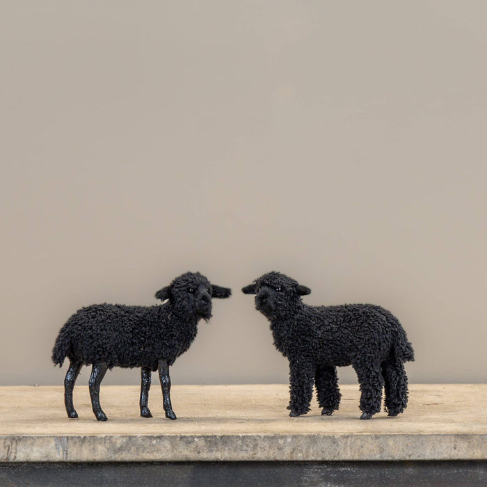 Ragon House - 4.75" STANDING BLACK SHEEP