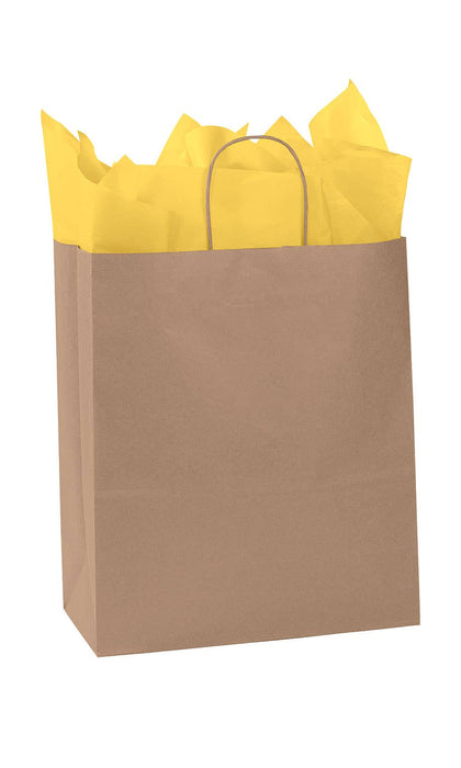 Store Supply Warehouse - Kraft Paper Shopping Bags: Natural / Case of 100 / Medium